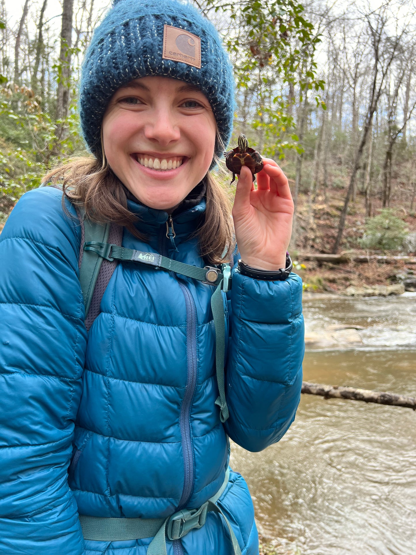 Cyanotypes & Linocut Cards