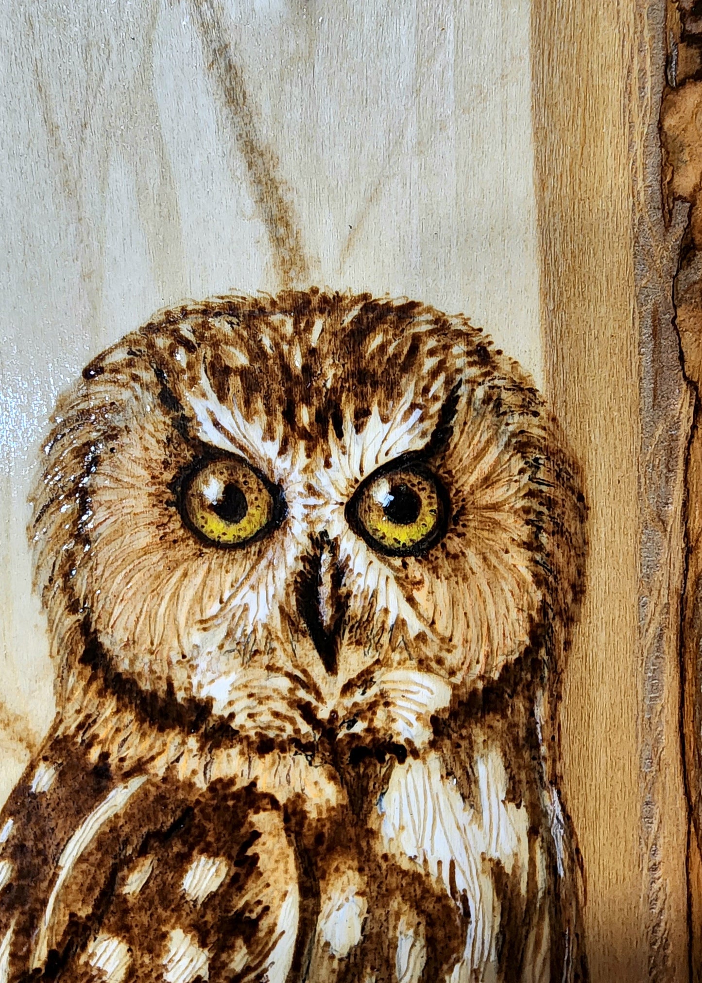 Woodburning: Make a Beautiful Owl