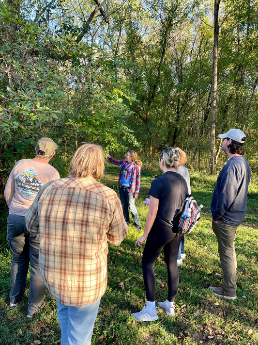 Spring Plant Walk: Plant ID & Ethical Foraging