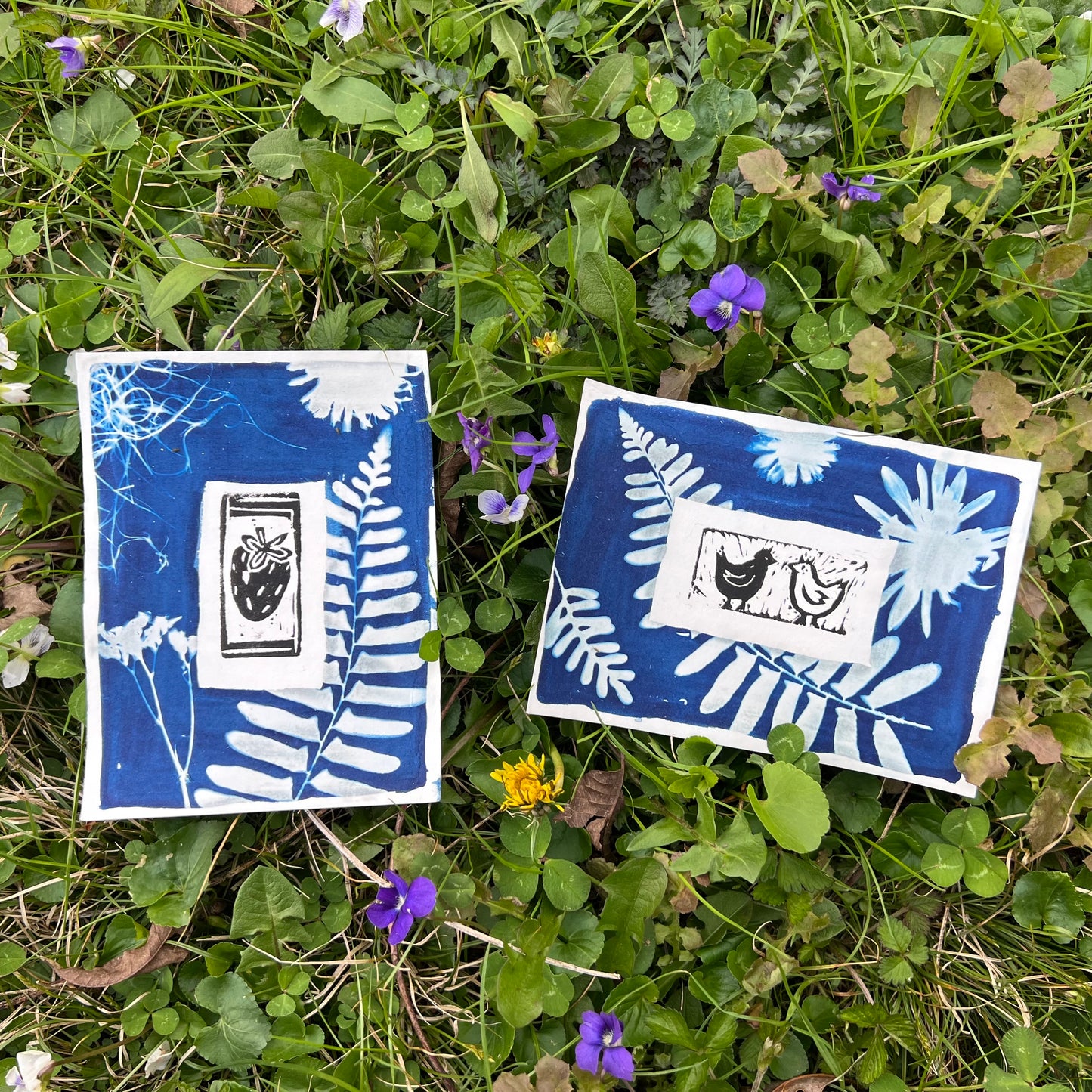 Cyanotypes & Linocut Cards