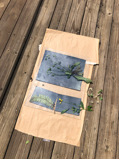 Cyanotypes on Fabric