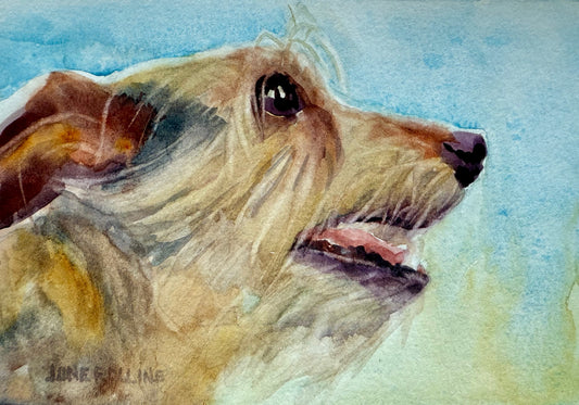 Go with the Flow: Animals in Watercolor