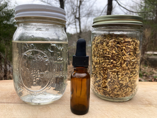Herbal Tincture Making for Beginners