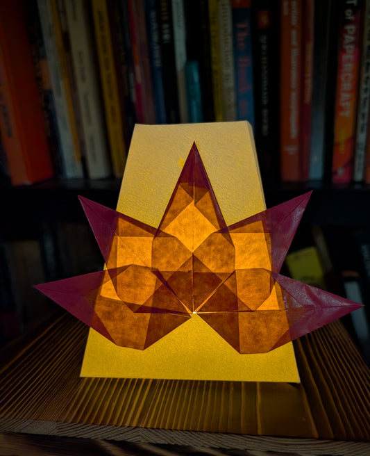 Keeping the Light: Winter Stars & Paper Lanterns
