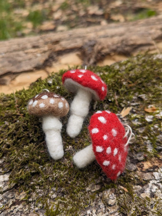 Needle Felted Mushrooms