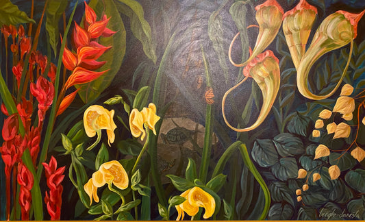 Drawing & Painting from Natures Wonders