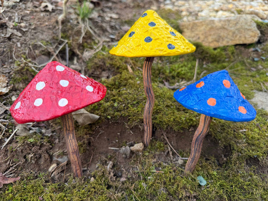 Whimsical Mushrooms and Word Rocks (Age 9 – 11)