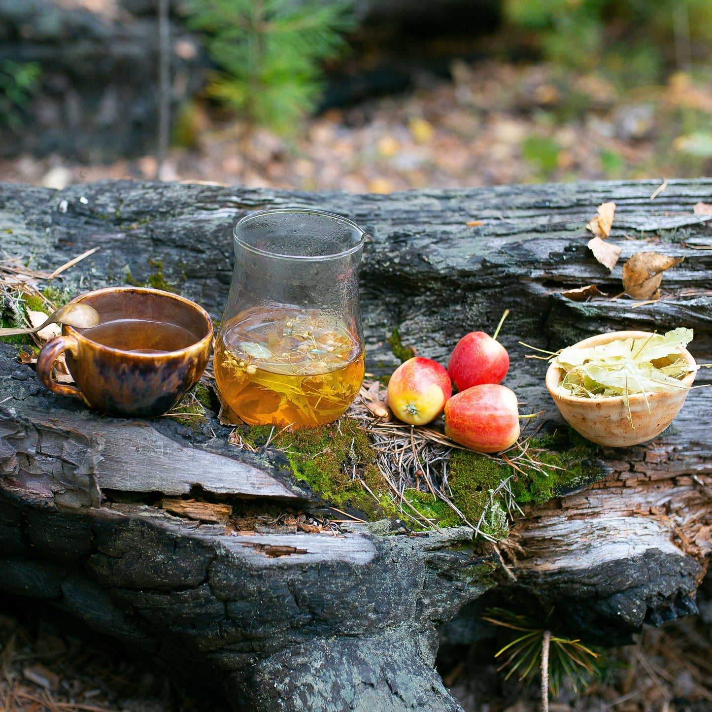 Make Your Own Fire Cider