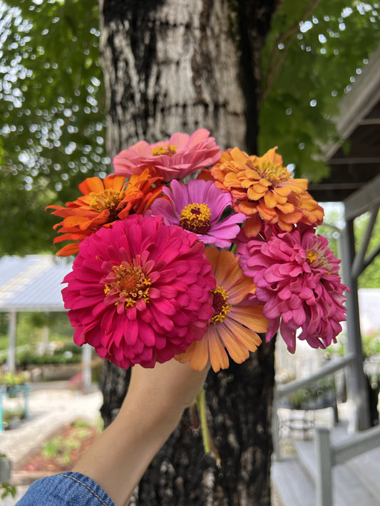 Folk School Flower Arrangements